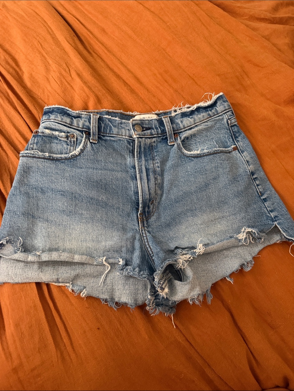 Abercrombie & Fitch Light Blue Distressed Denim Shorts Curve Love Style
